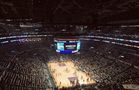 Online Betting Is Changing Sports: How?